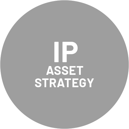 231123_Jakober_Service_IP-Asset-Strategy_passiv