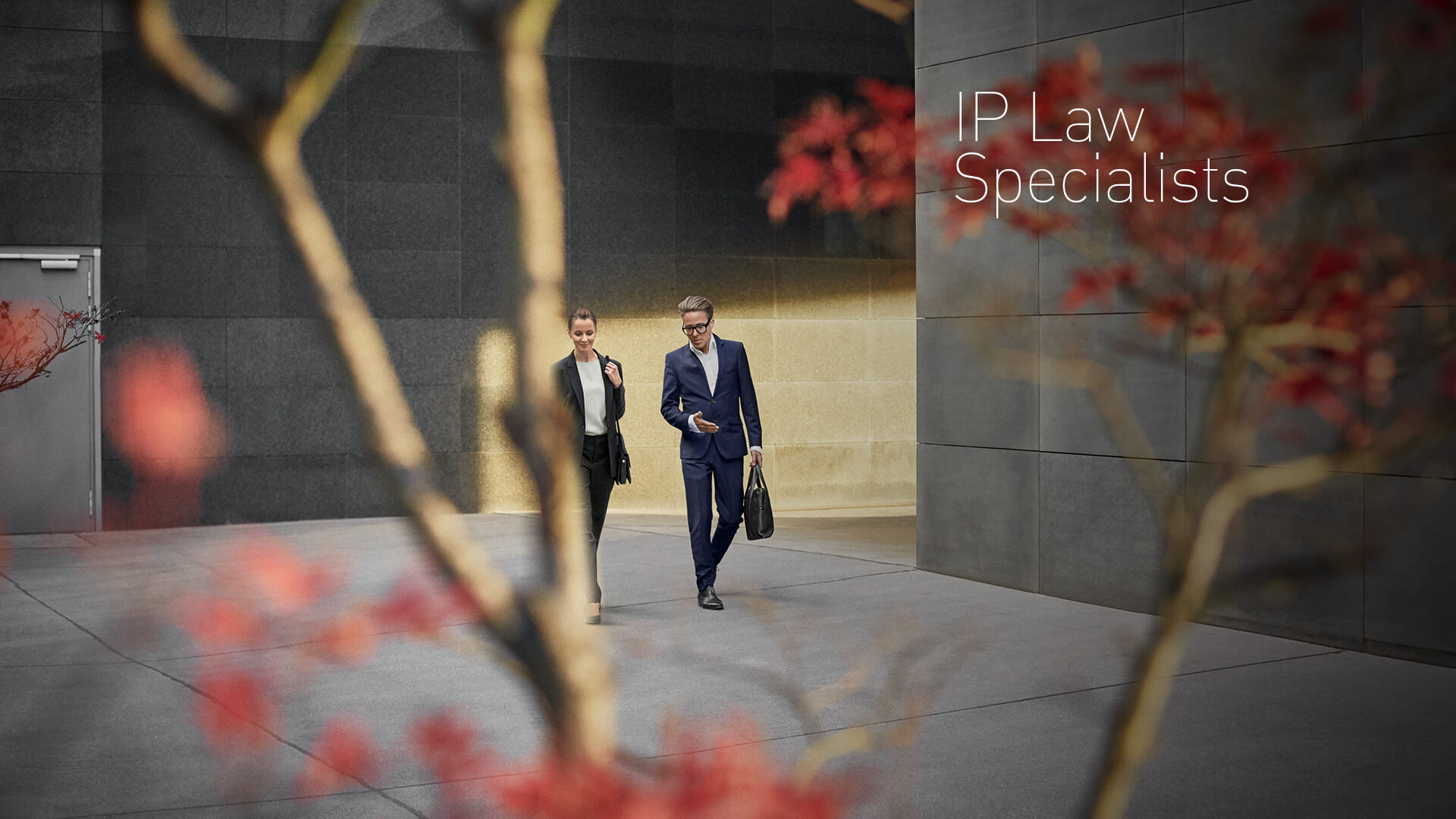 IP Law specialists